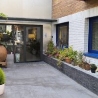 El Olivo Psicoterapia Humanista