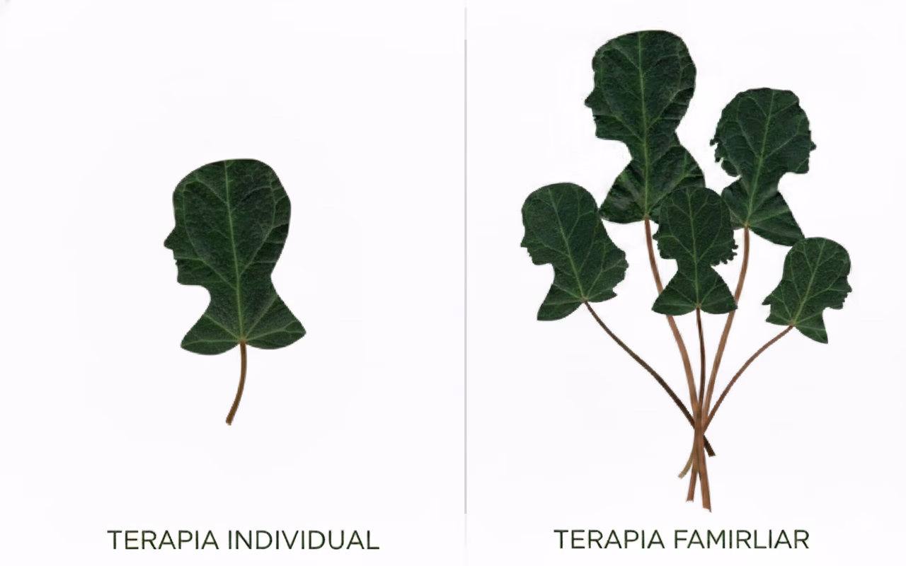Terapia individual o terapia familiar