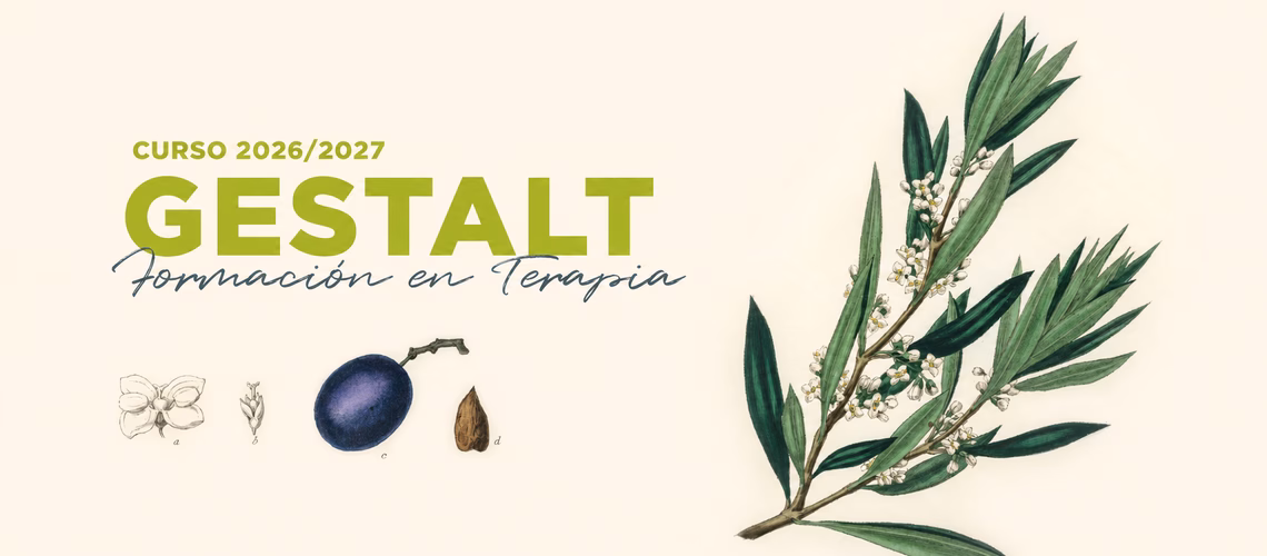 Formación en Terapia Gestalt en el Olivo Psicoterapia
